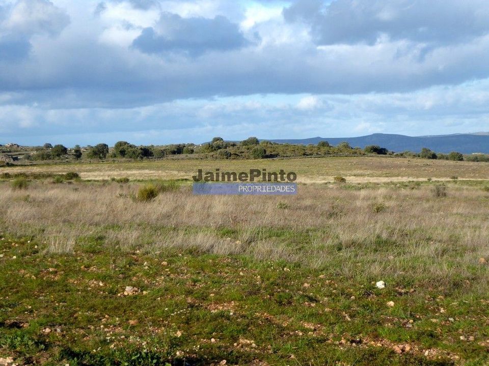Helårsgrund i Figueira de Castelo Rodrigo, Guarda - foto 4