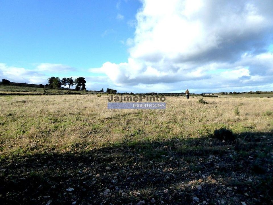 Helårsgrund i Figueira de Castelo Rodrigo, Guarda - foto 1