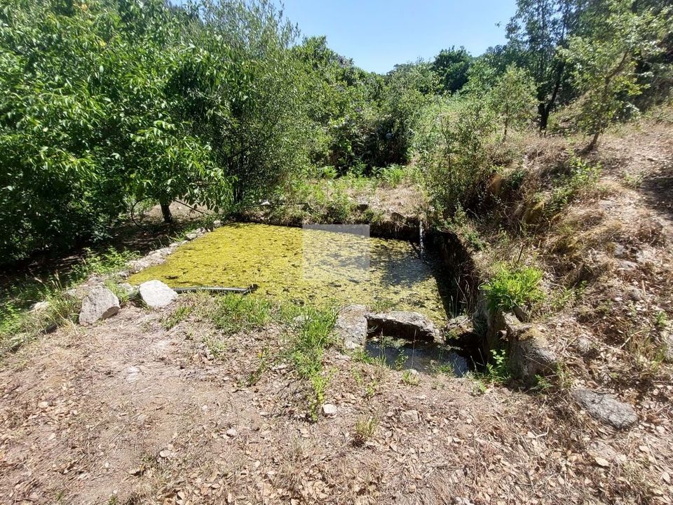 Farm hus i Monchique, Faro - foto 1