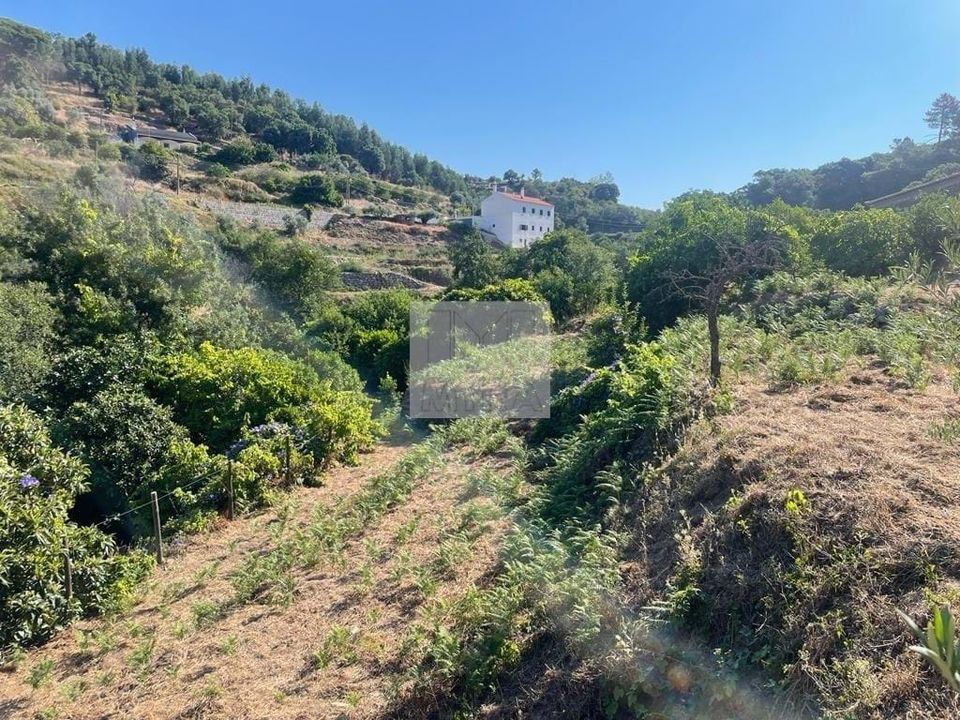 Farm hus i Monchique, Faro - foto 2