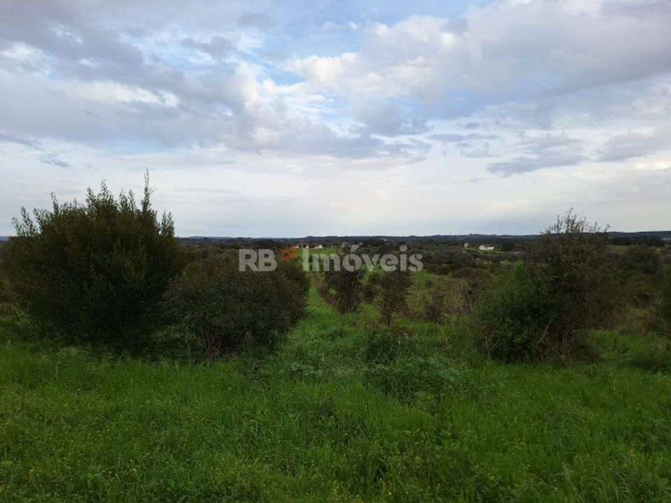Helårsgrund i Olaia e Paco, Santarem - foto 3
