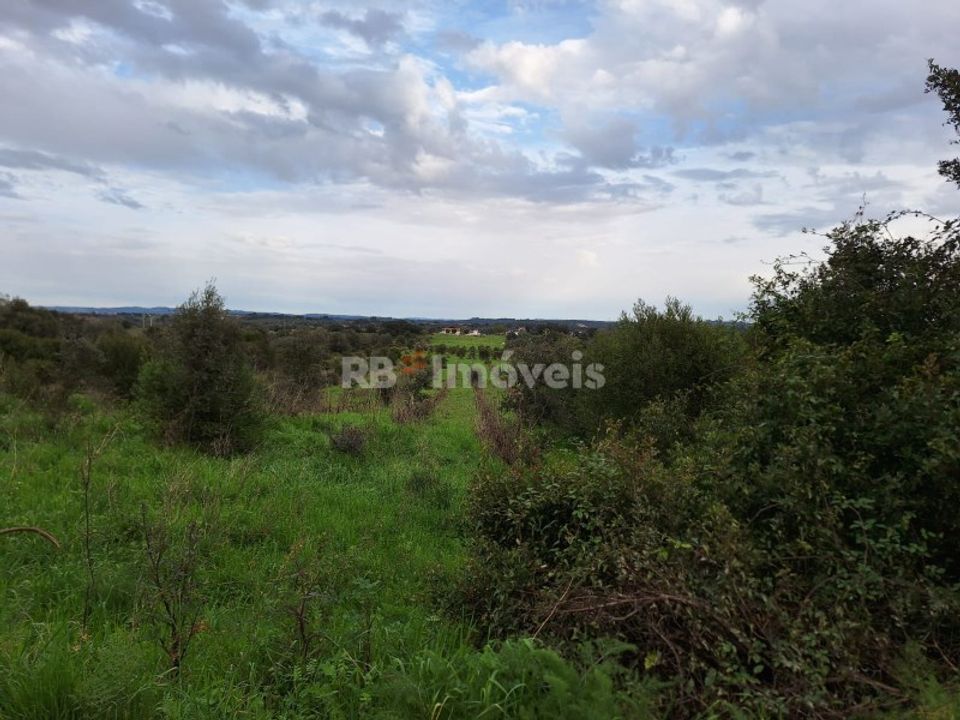 Helårsgrund i Olaia e Paco, Santarem - foto 4