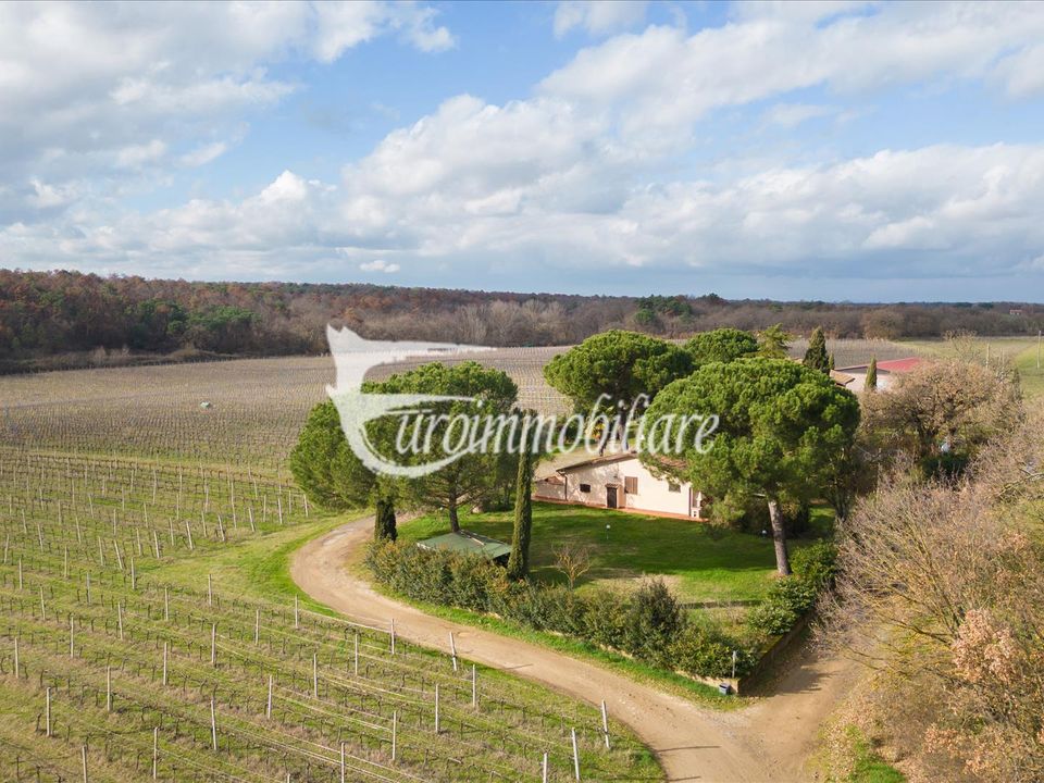 Farm i Castiglione del Lago, Perugia - foto 1