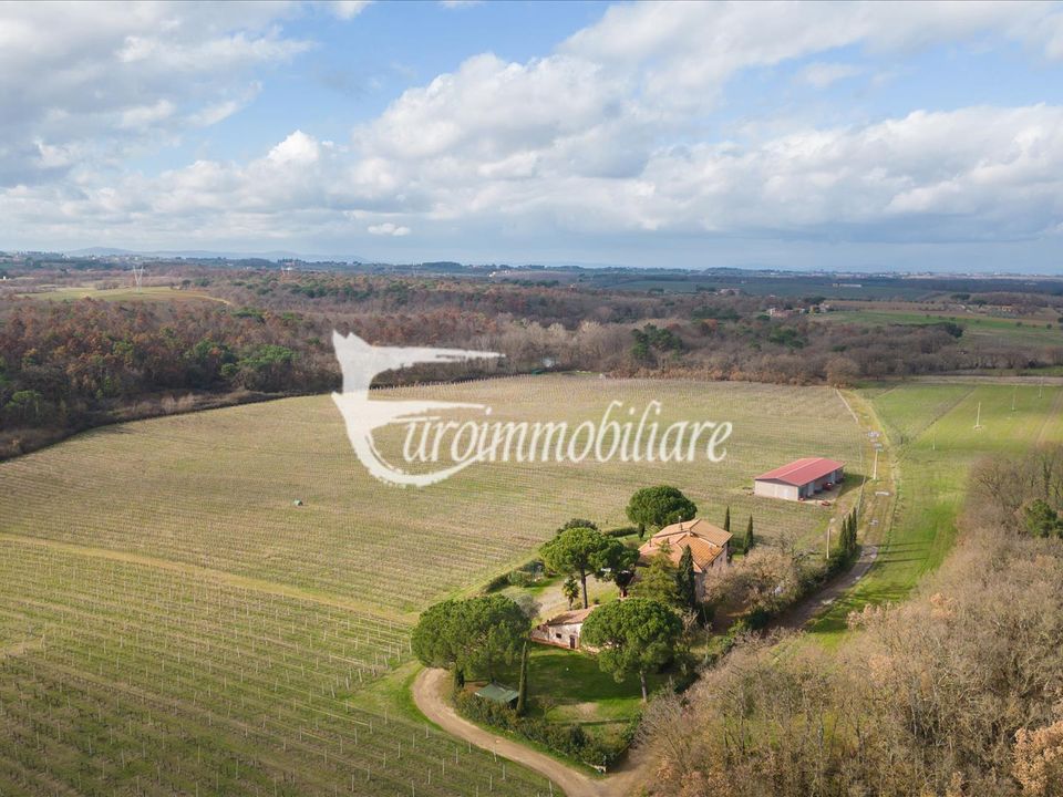 Farm i Castiglione del Lago, Perugia - foto 4