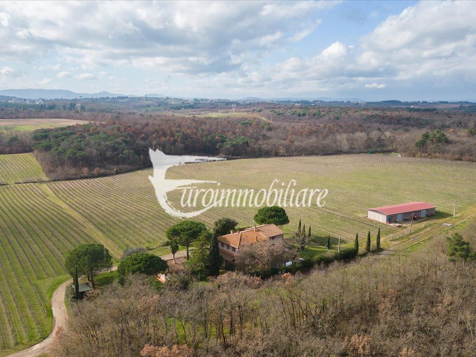 Farm i Castiglione del Lago, Perugia - foto 5