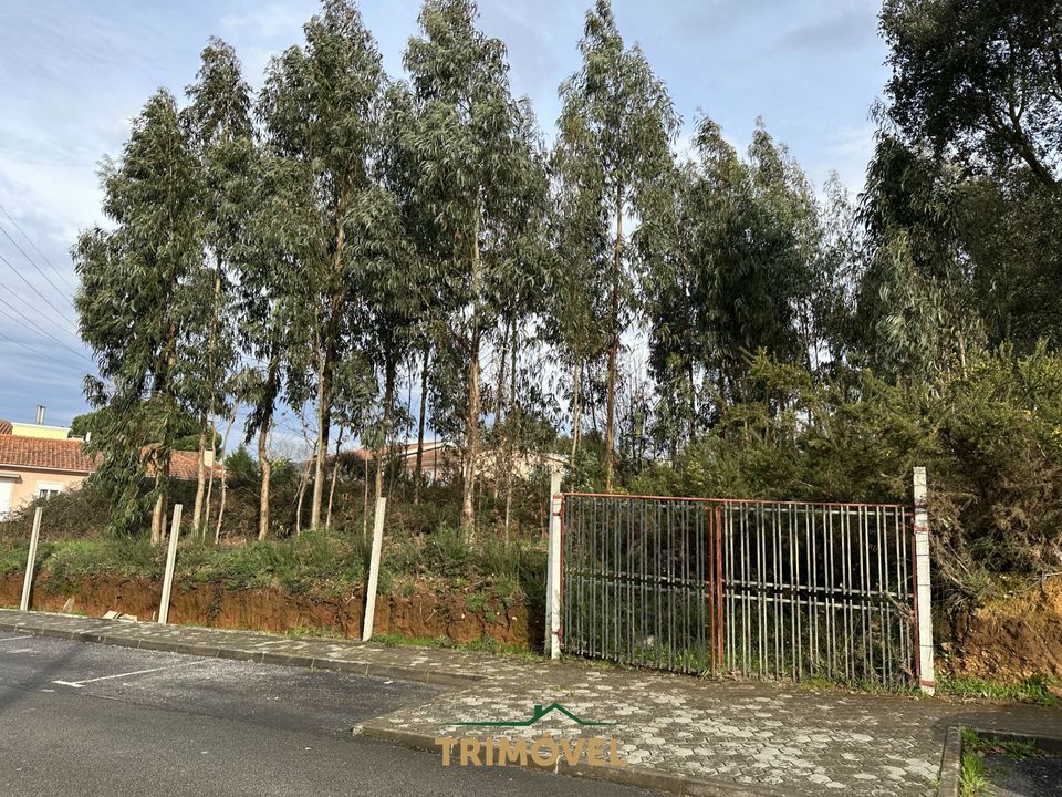 Helårsgrund i Oliveira de Azemeis, Aveiro - foto 3