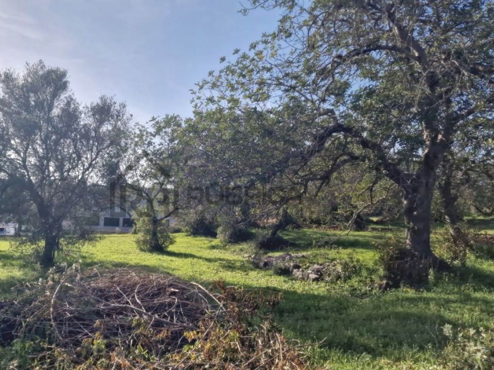 Helårsgrund i Sao Bras de Alportel, Faro - foto 2