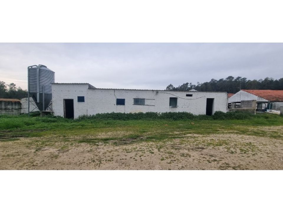 Erhvervsejendom i Leiria, Leiria - foto 3