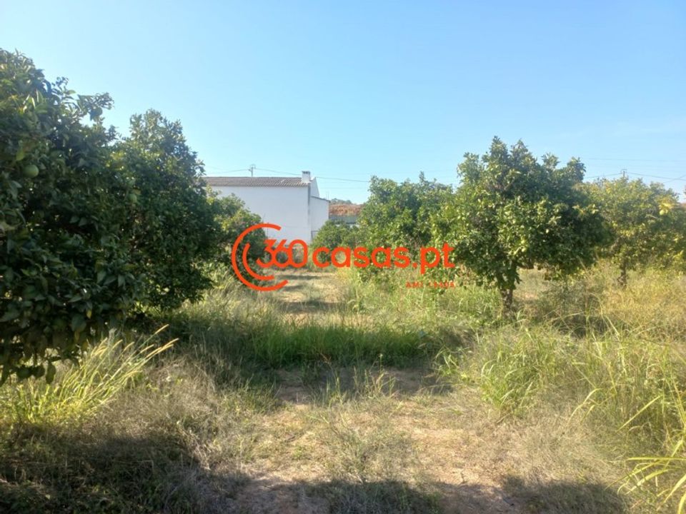 Villa i Tavira, Faro - foto 3