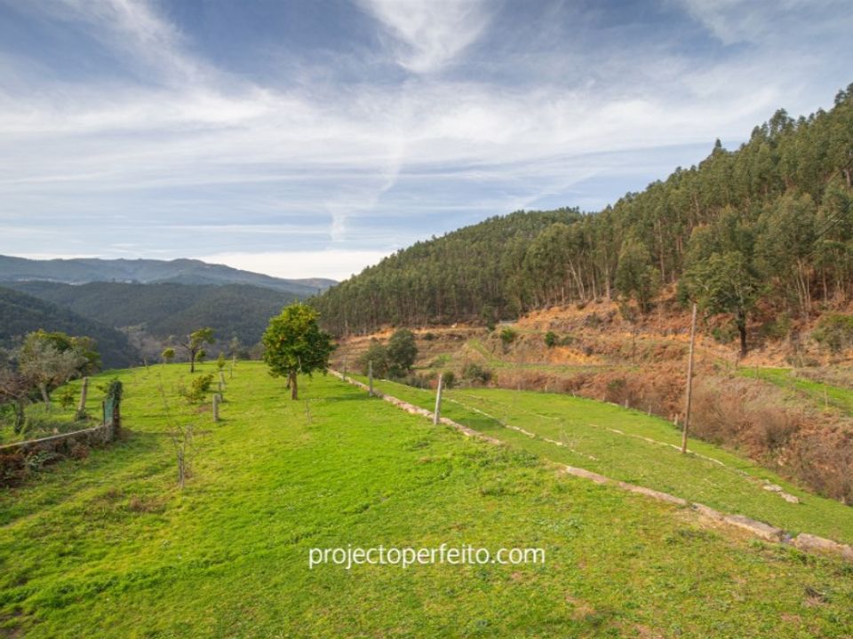 Farm i Alvarenga, Aveiro - foto 2