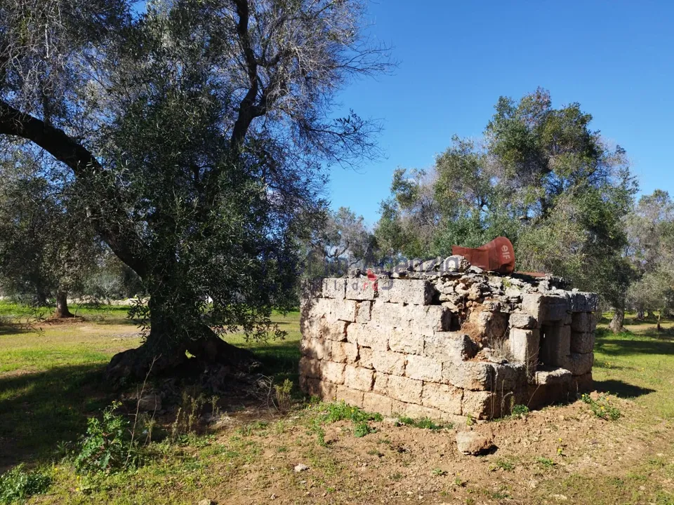 Landejendom i San Vito dei Normanni, Brindisi - foto 3