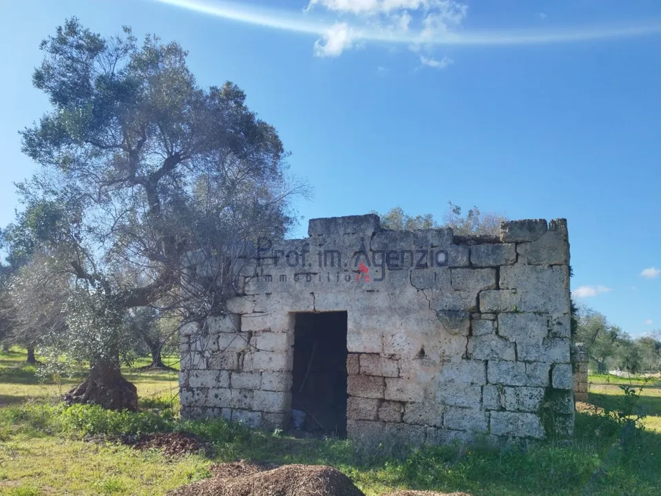 Landejendom i San Vito dei Normanni, Brindisi - foto 1
