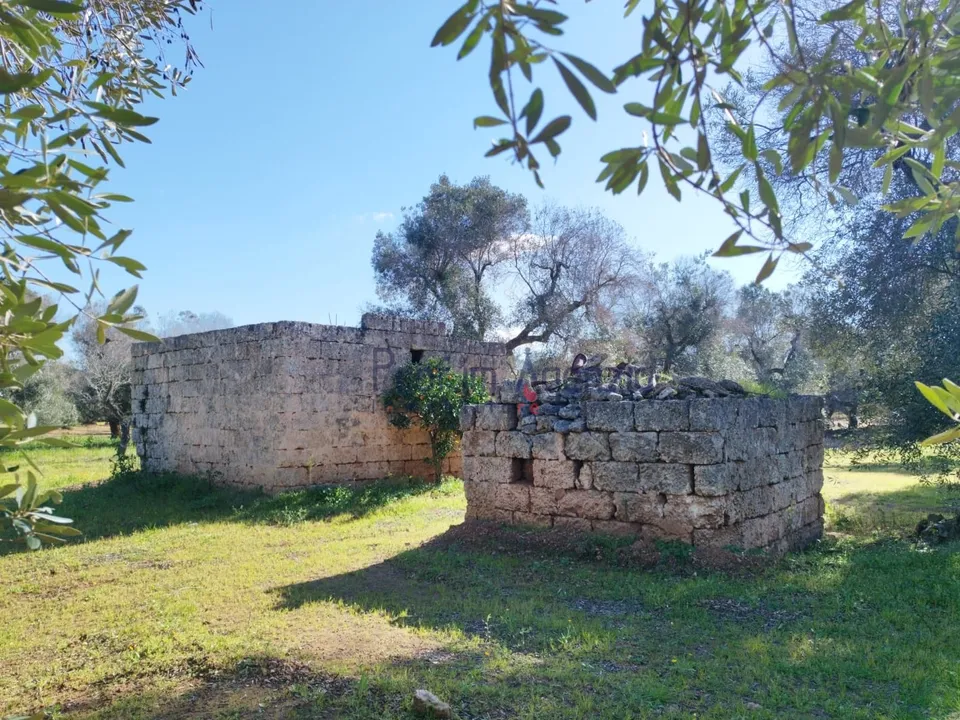 Landejendom i San Vito dei Normanni, Brindisi - foto 2