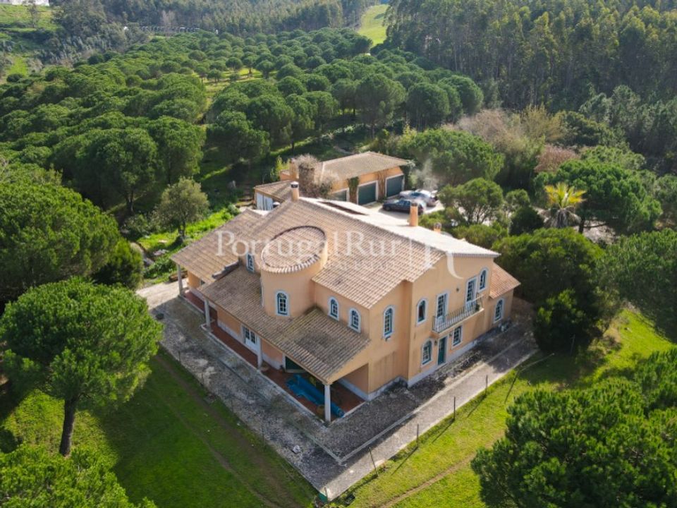 Farm i Caldas da Rainha, Leiria - foto 2