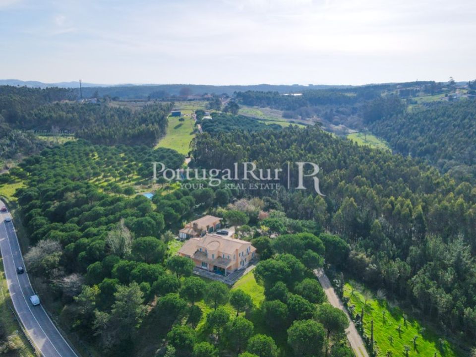 Farm i Caldas da Rainha, Leiria - foto 3
