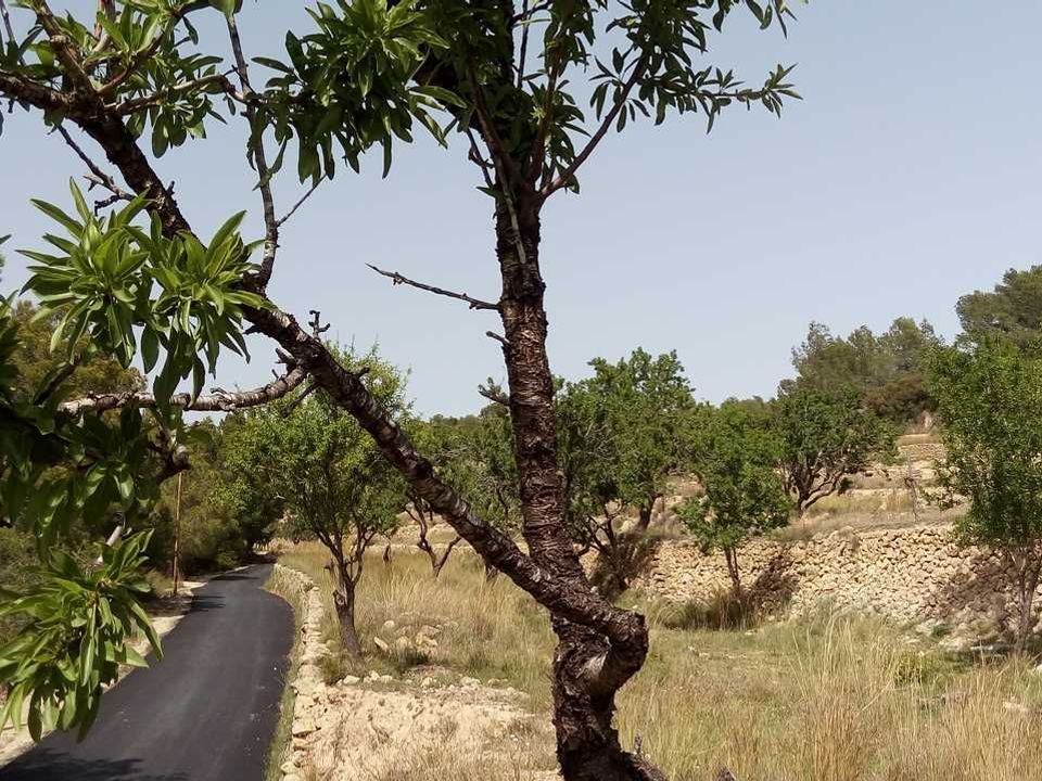 Helårsgrund i Benissa, Alicante - foto 5