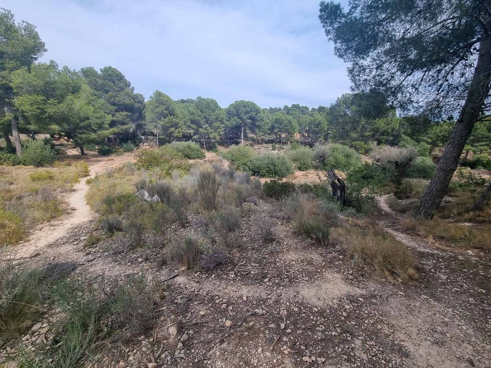 Helårsgrund i Alfaz del Pi, Alicante - foto 1