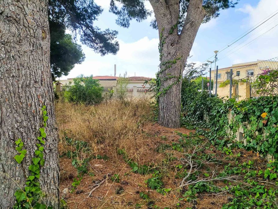 Helårsgrund i Alfaz del Pi, Alicante - foto 4