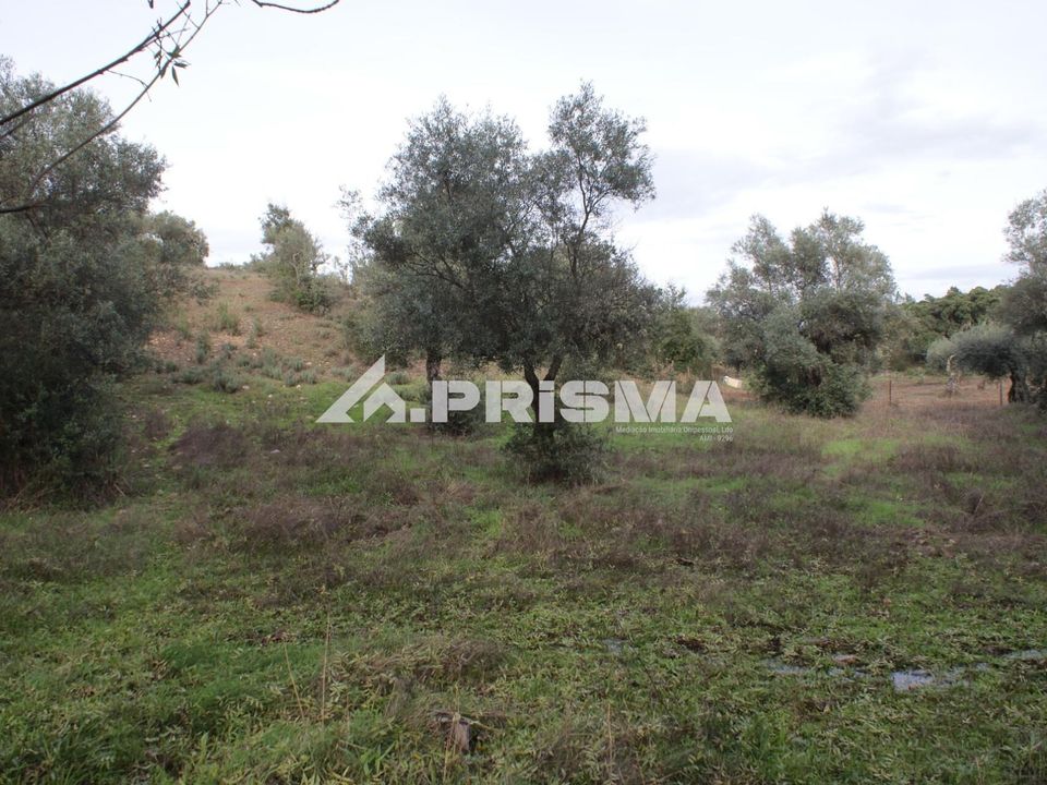 Helårsgrund i Penamacor, Castelo Branco - foto 1