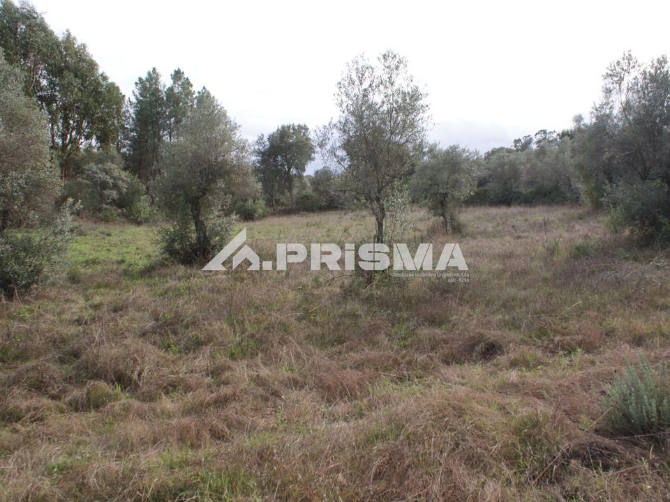 Helårsgrund i Penamacor, Castelo Branco - foto 4