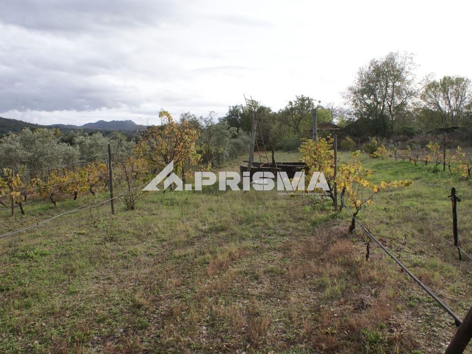 Helårsgrund i Penamacor, Castelo Branco - foto 1
