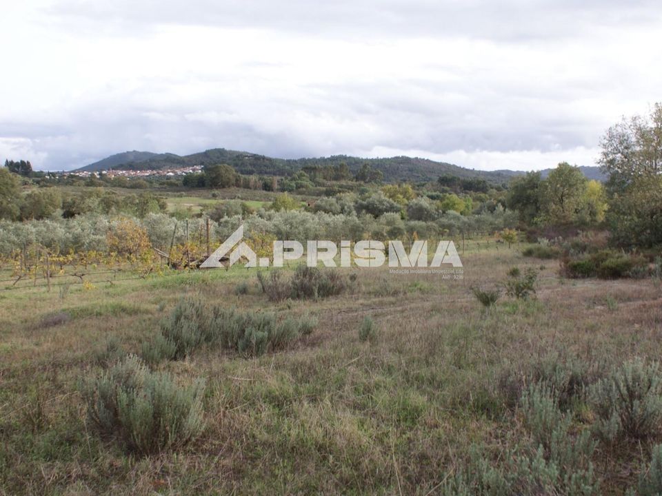 Helårsgrund i Penamacor, Castelo Branco - foto 2