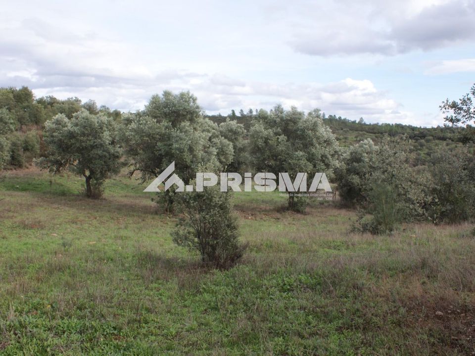 Helårsgrund i Penamacor, Castelo Branco - foto 4