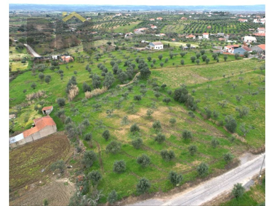Helårsgrund i Ladoeiro, Castelo Branco - foto 2