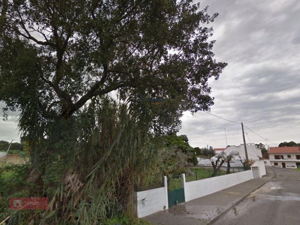 Farm i Coruche, Santarem - foto 3