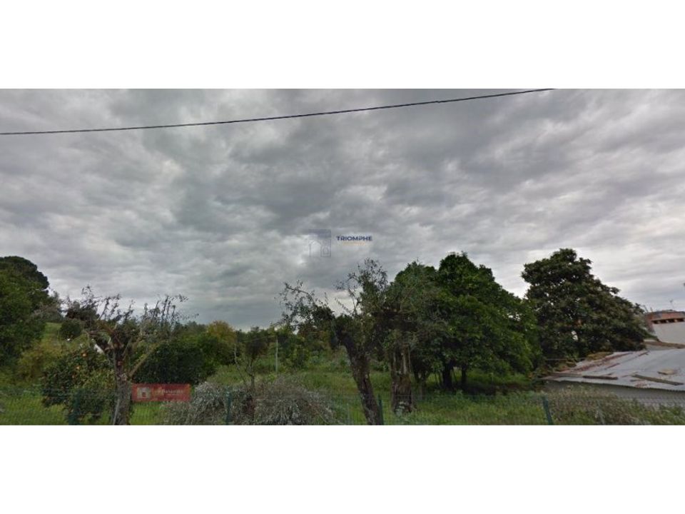 Farm i Coruche, Santarem - foto 4