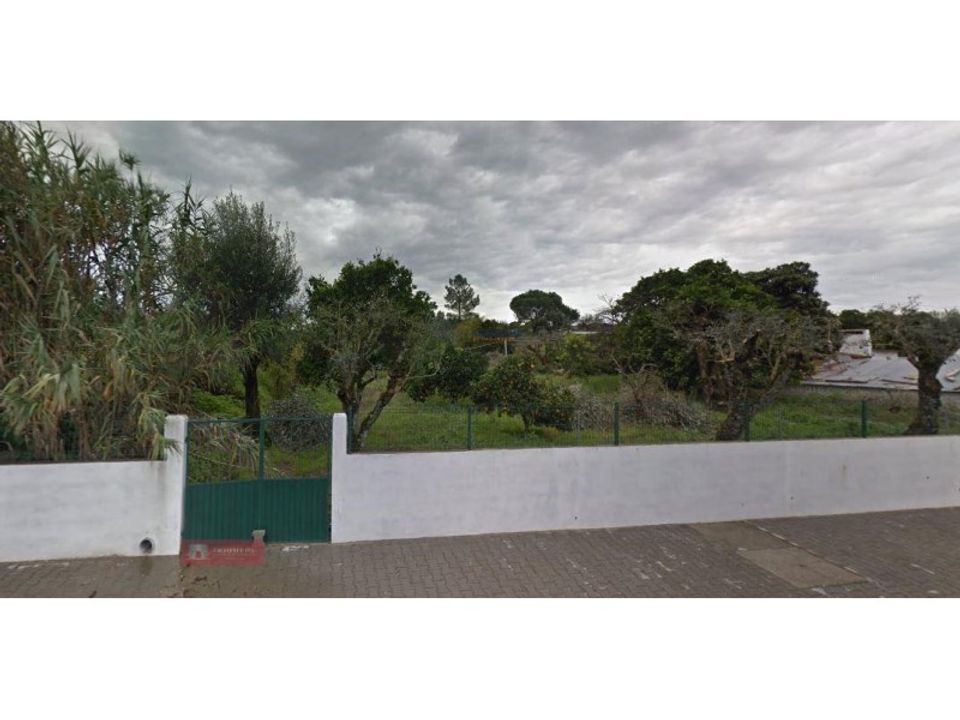 Farm i Coruche, Santarem - foto 5