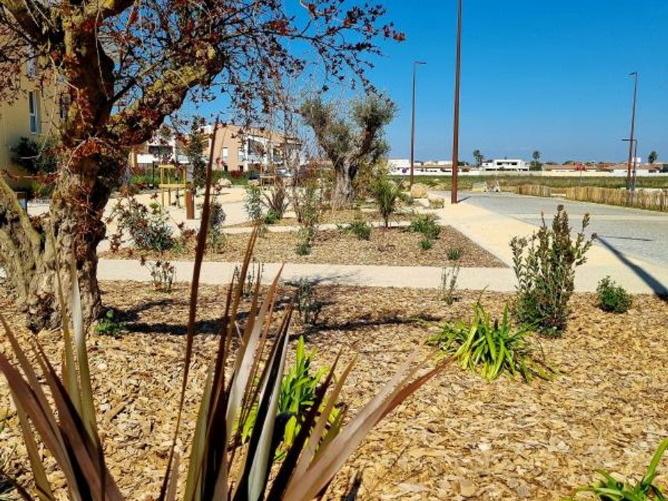 Helårsgrund i Sauvian, Herault - foto 4