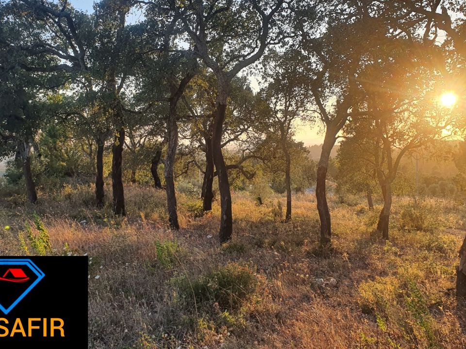 Helårsgrund i Ferreira do Zezere, Santarem - foto 1