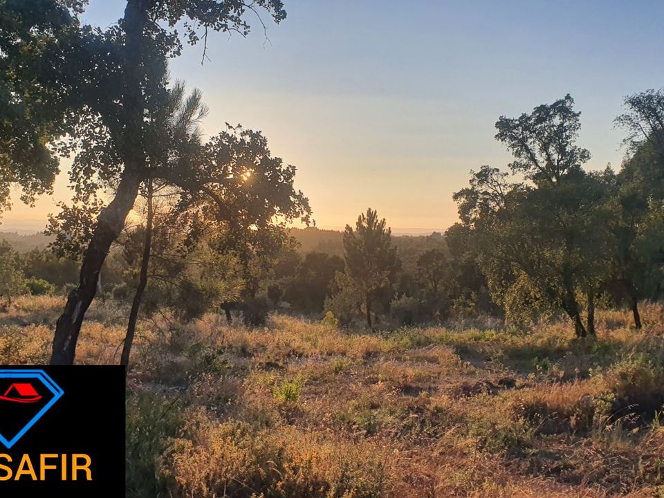 Helårsgrund i Ferreira do Zezere, Santarem - foto 2