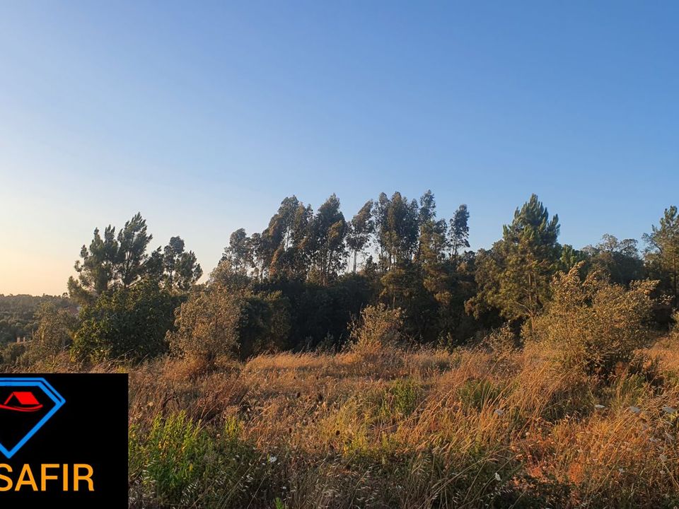 Helårsgrund i Ferreira do Zezere, Santarem - foto 5