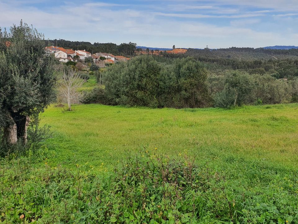 Helårsgrund i Tomar, Santarem - foto 3