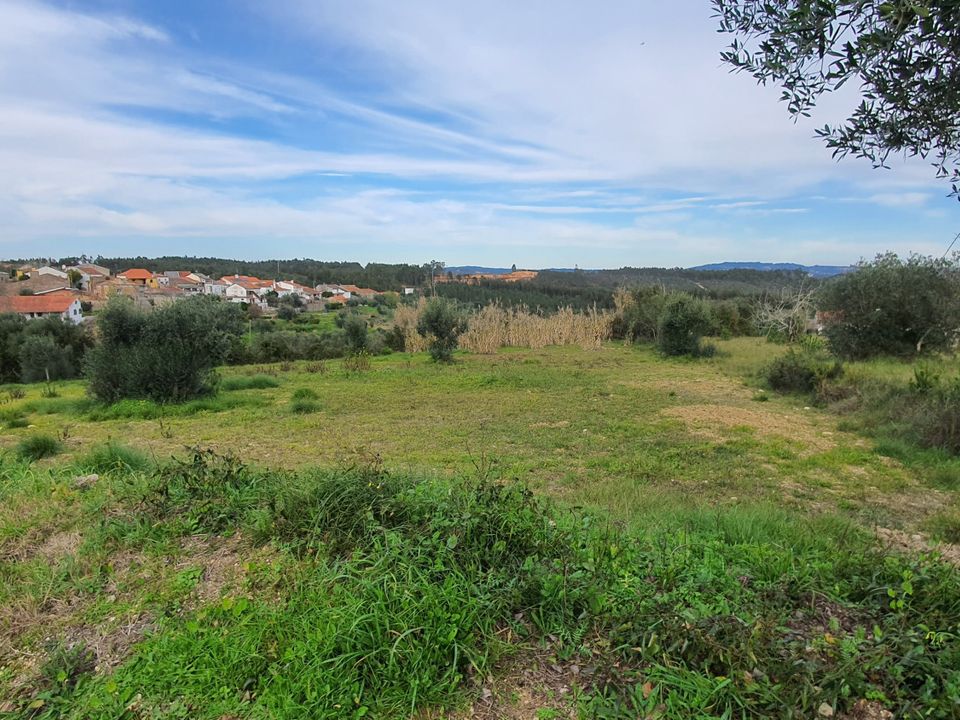 Helårsgrund i Tomar, Santarem - foto 5