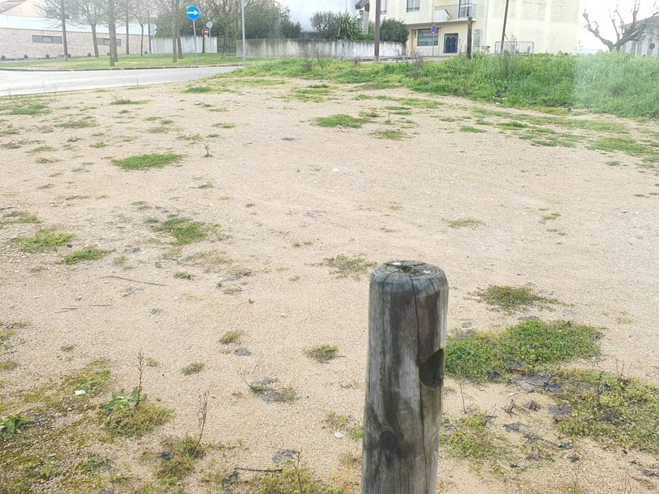 Helårsgrund i Ferreira do Zezere, Santarem - foto 3