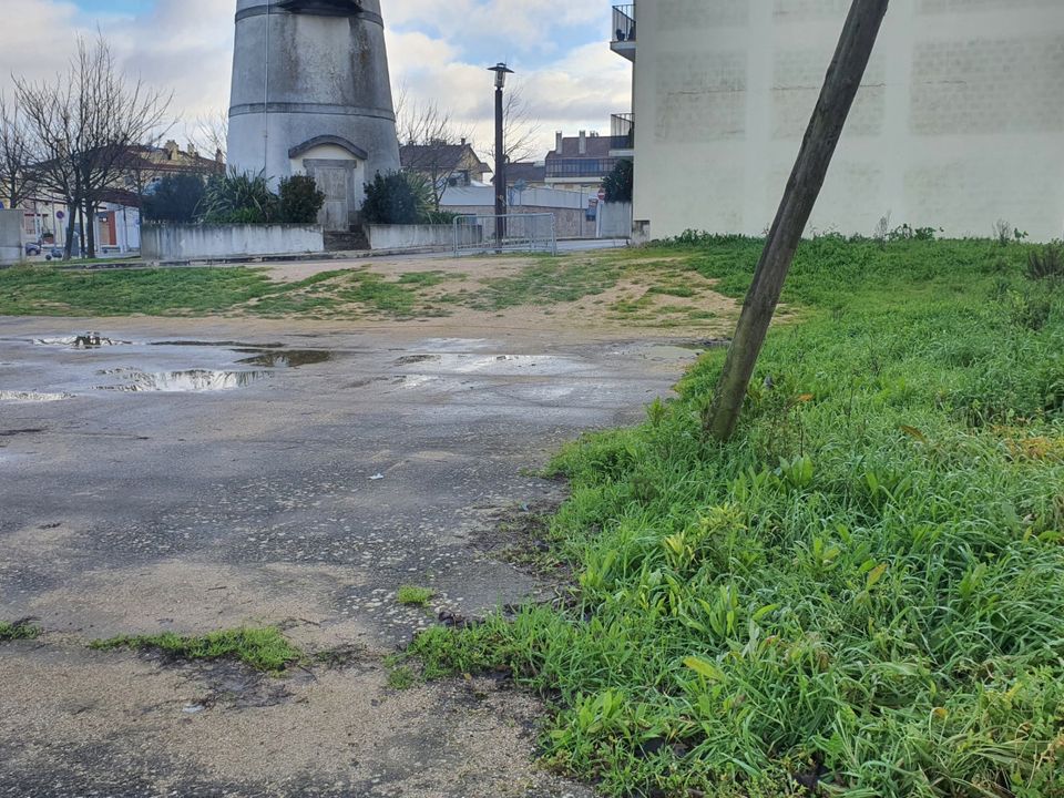 Helårsgrund i Ferreira do Zezere, Santarem - foto 5
