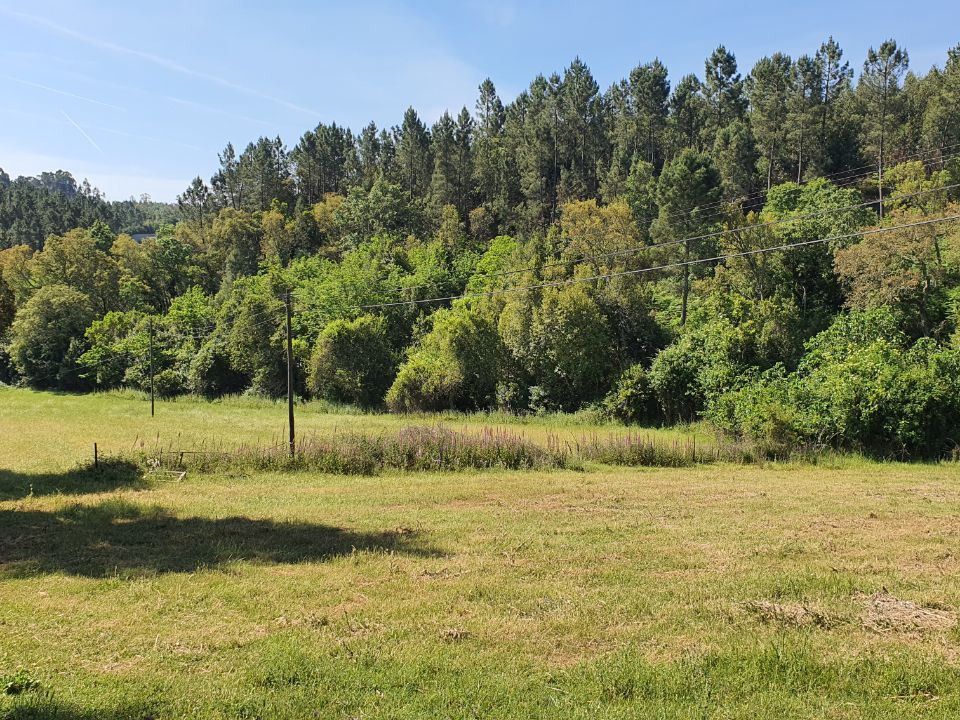 Helårsgrund i Ferreira do Zezere, Santarem - foto 1