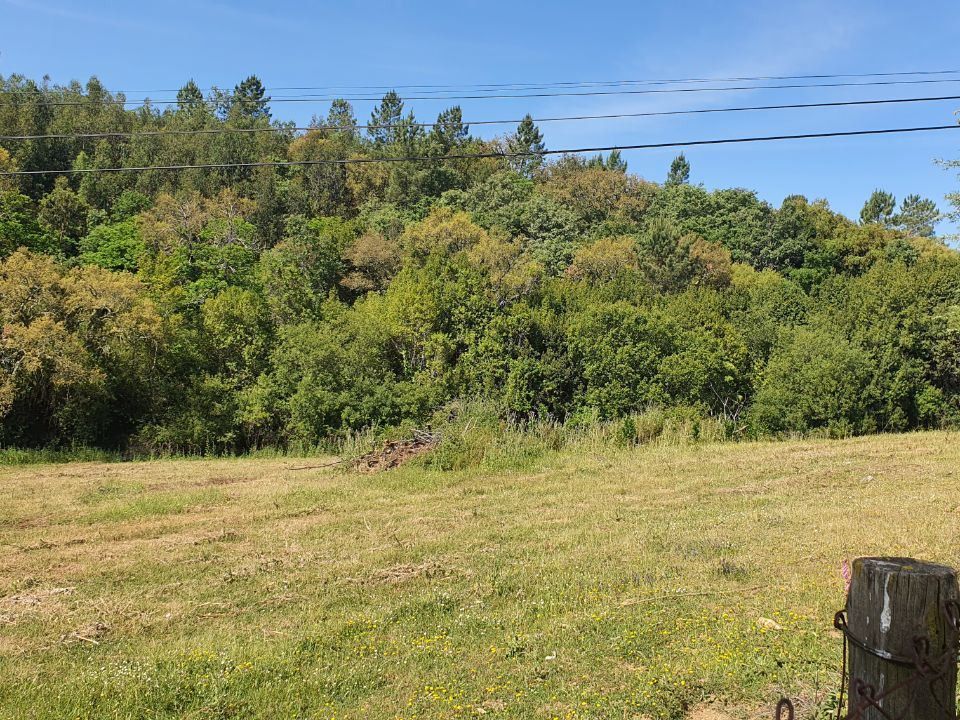 Helårsgrund i Ferreira do Zezere, Santarem - foto 3