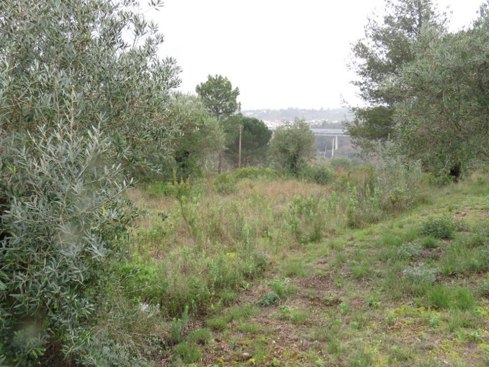 Helårsgrund i Tomar, Santarem - foto 1
