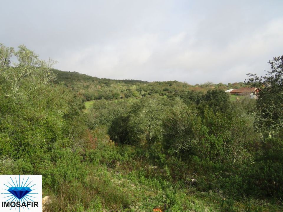 Helårsgrund i Ferreira do Zezere, Santarem - foto 4