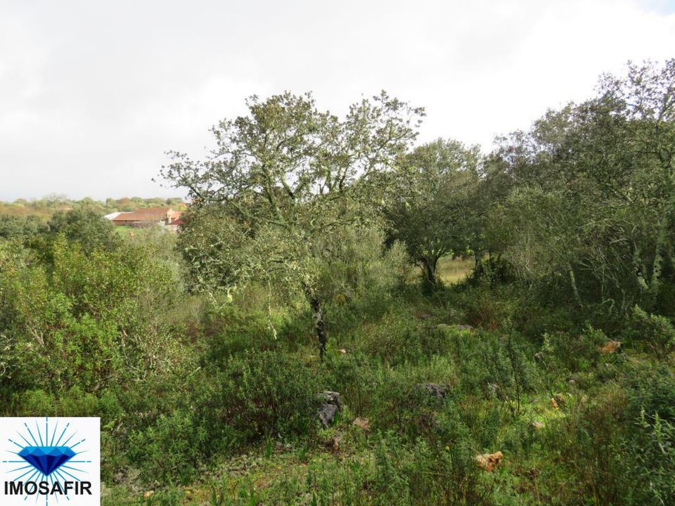 Helårsgrund i Ferreira do Zezere, Santarem - foto 5