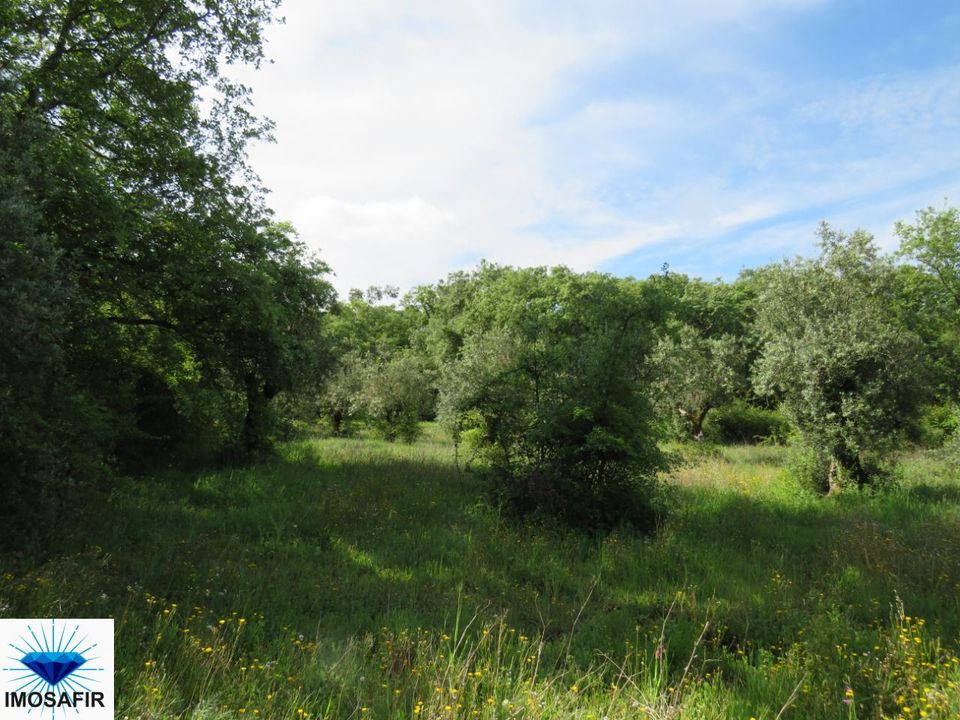 Tomt i Alvaiazere, Leiria - bilde 1