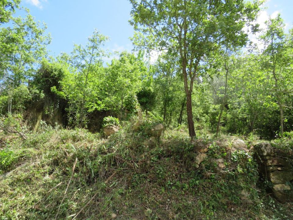 Helårsgrund i Alvaiazere, Leiria - foto 2