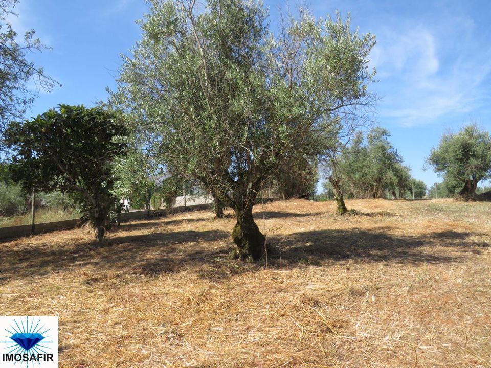 Villa i Alvaiazere, Leiria - foto 4