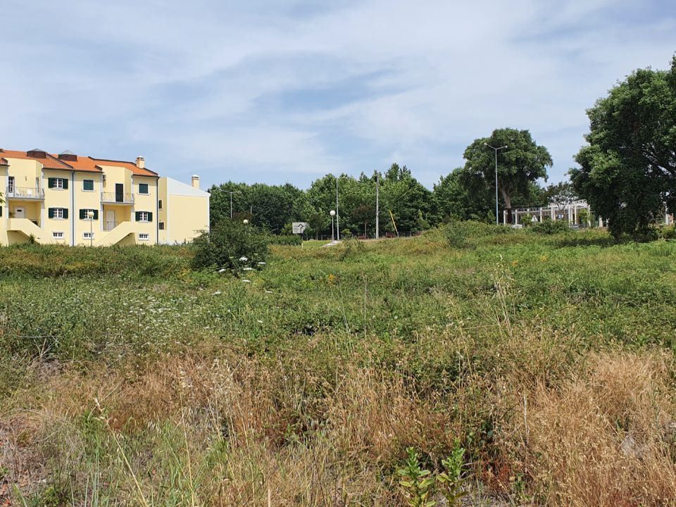 Helårsgrund i Ferreira do Zezere, Santarem - foto 3
