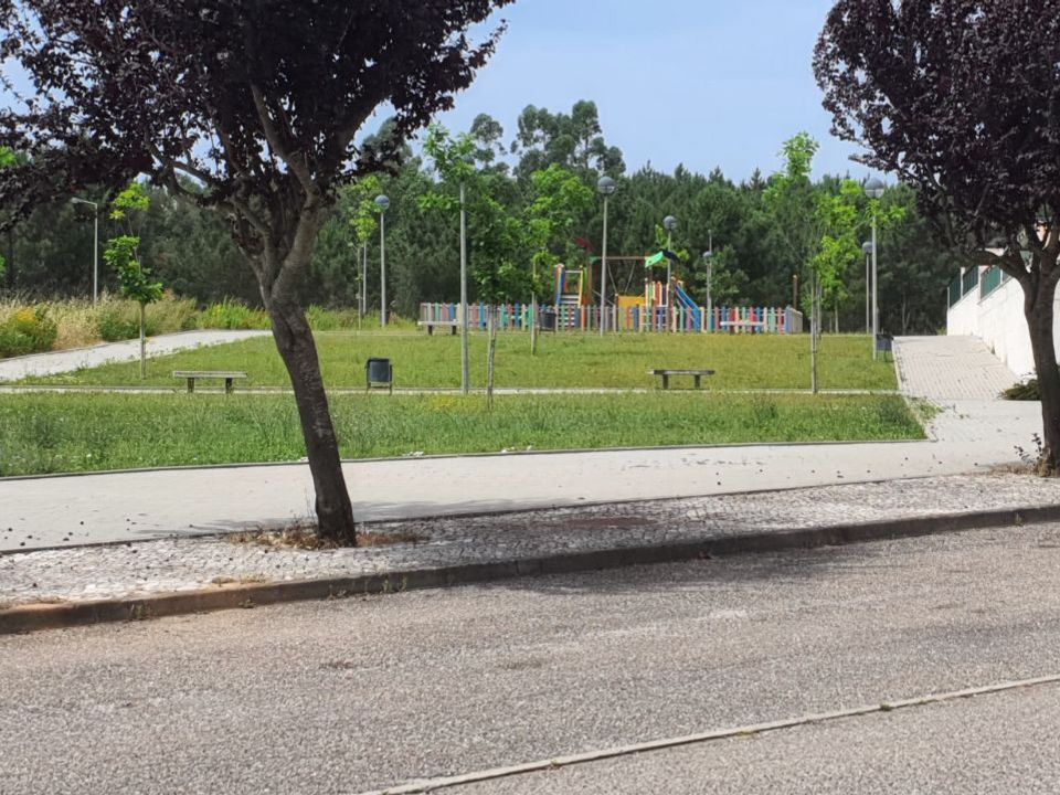 Helårsgrund i Ferreira do Zezere, Santarem - foto 4