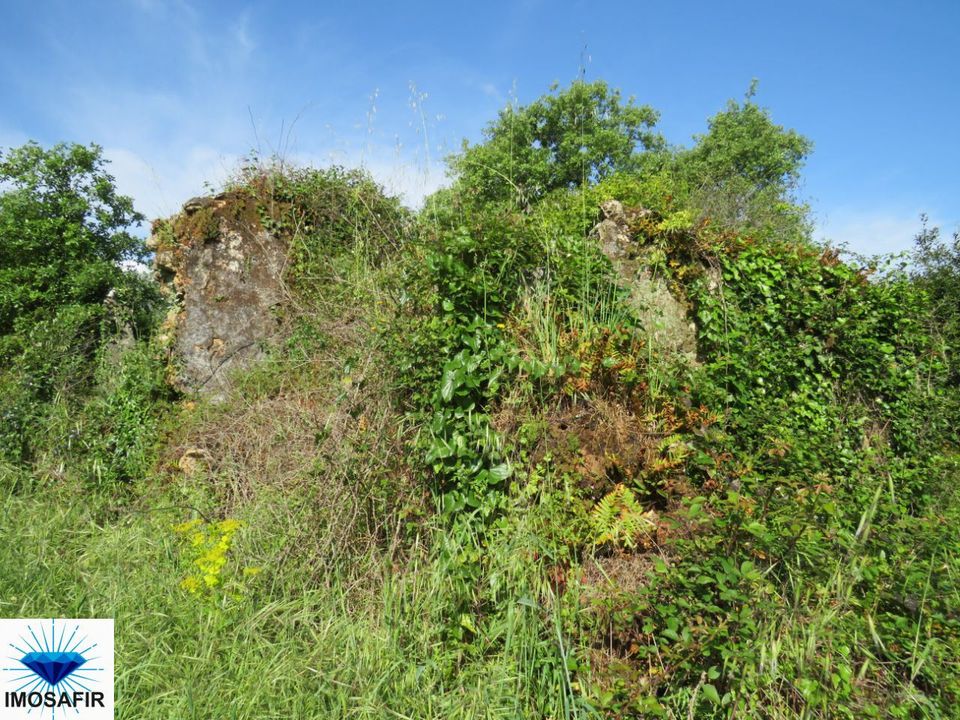 Villa i Alvaiazere, Leiria - foto 5